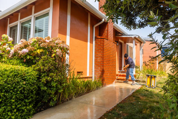 Best Exterior Home Cleaning  in Springfield, FL